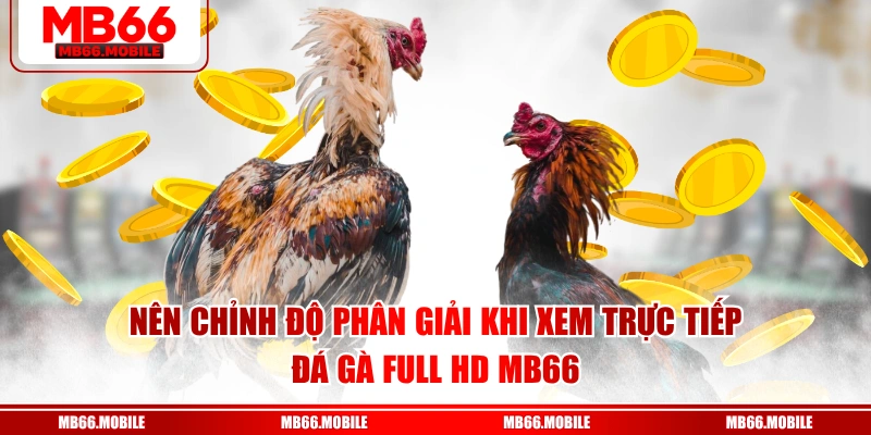 Nên chỉnh độ phân giải khi xem trực tiếp đá gà Full HD MB66